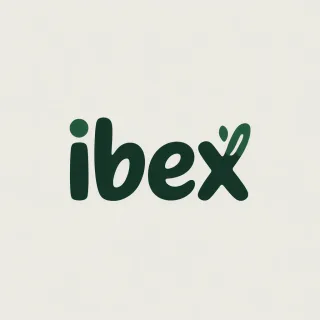 Logo concept for ibex.de