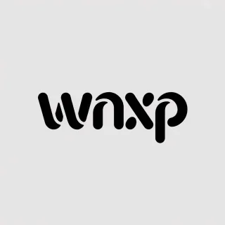 Logo concept for wnxp.com
