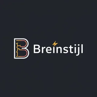 Logo concept for breinstijl.nl