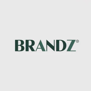 Logo concept for brandz.nl