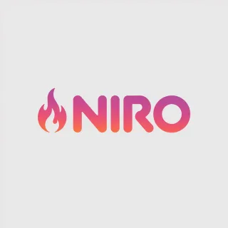 Logo concept for niro.fr