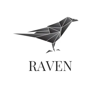 Logo concept for raven.be