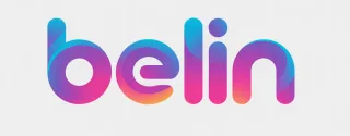 Logo concept for belin.nl