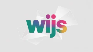 Logo concept for wijs.com