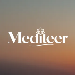 Logo concept for mediteer.nl