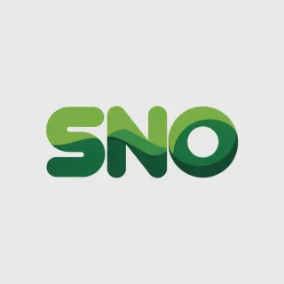 Logo concept for sno.be