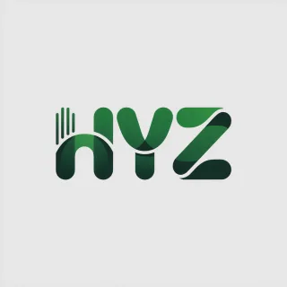 Logo concept for hyz.nl