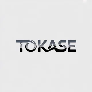 Logo concept for tokase.com