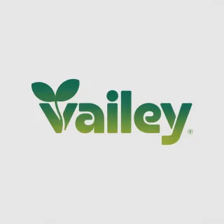 Logo concept for vailey.com