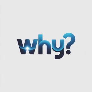 Logo concept for why.nu