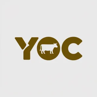 Logo concept for yoc.be